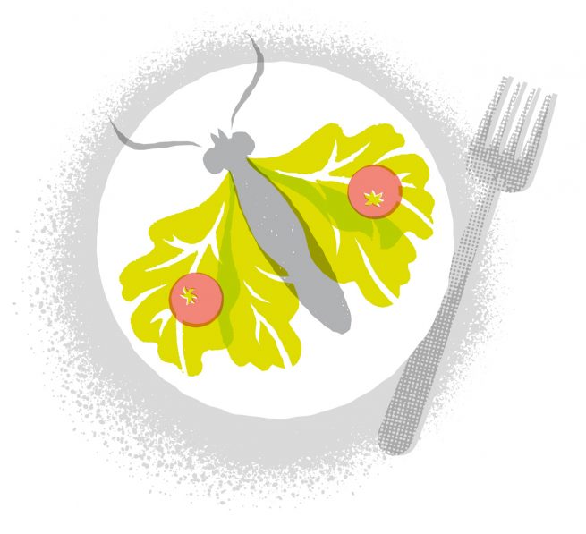 Ekel vor Motten im Salat