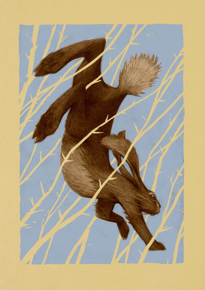 Hase, der durch Dornen springt